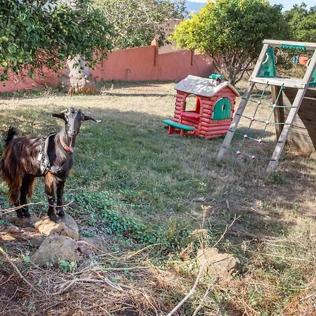 Bellavida Horská chata La Matanza De Acentejo